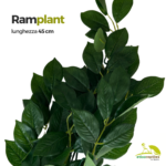 Ramplant