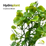 Hydroplant