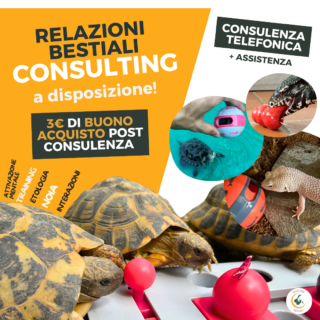 consulenza comportamentale rettili